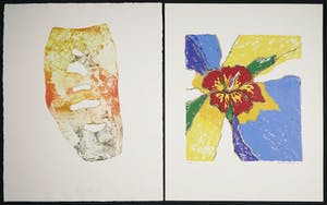 Bert van Santen - Ets, Heel die lentenacht (...) + Francine de Kriek - Zeefdruk, Bloem (LOT) kopen? Bied vanaf 1!