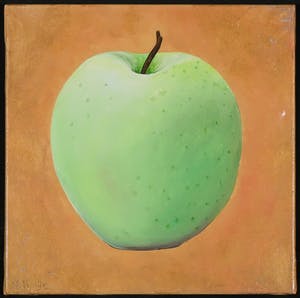 Mylene Vrolijk - Acryl op doek, Groene appel kopen? Bied vanaf 20!