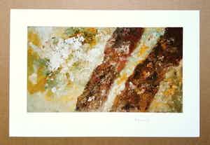 Armando - Bomen - Handgesigneerde Gilcée verkocht voor € 55!