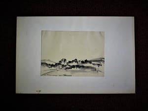 Niet of onleesbaar gesigneerd - Intrigerende 1961 Houtskooltek. "Bergachtig landschap met dorp" gesigneerd kopen? Bied vanaf 1!