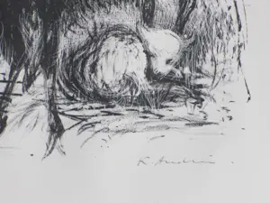 Kees Andrea - Geiten Spanje - Litho kopen? Bied vanaf 38!