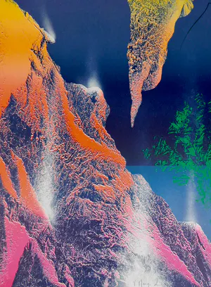 Vincent Mengin-Lecreult - Evolution kopen? Bied vanaf 35!