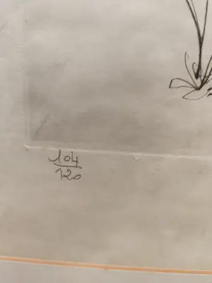Salvador Dali - Cupido en de naakte vrouw met de blonde haren kopen? Bied vanaf 1!