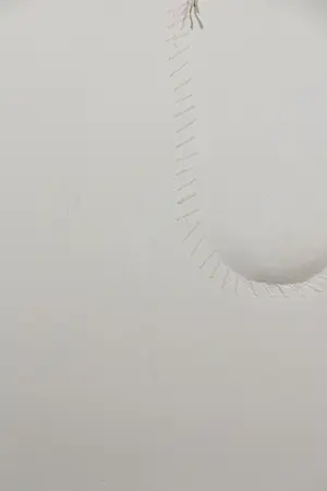 Paul Bakker - Gemengde techniek op doek, Groene vorm (Groot) kopen? Bied vanaf 1!