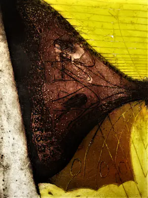 Sam Parabirsingh - Grote handgekleurde Ets "Vlinder"- zeer kleine oplage (5) Ingelijst kopen? Bied vanaf 49!