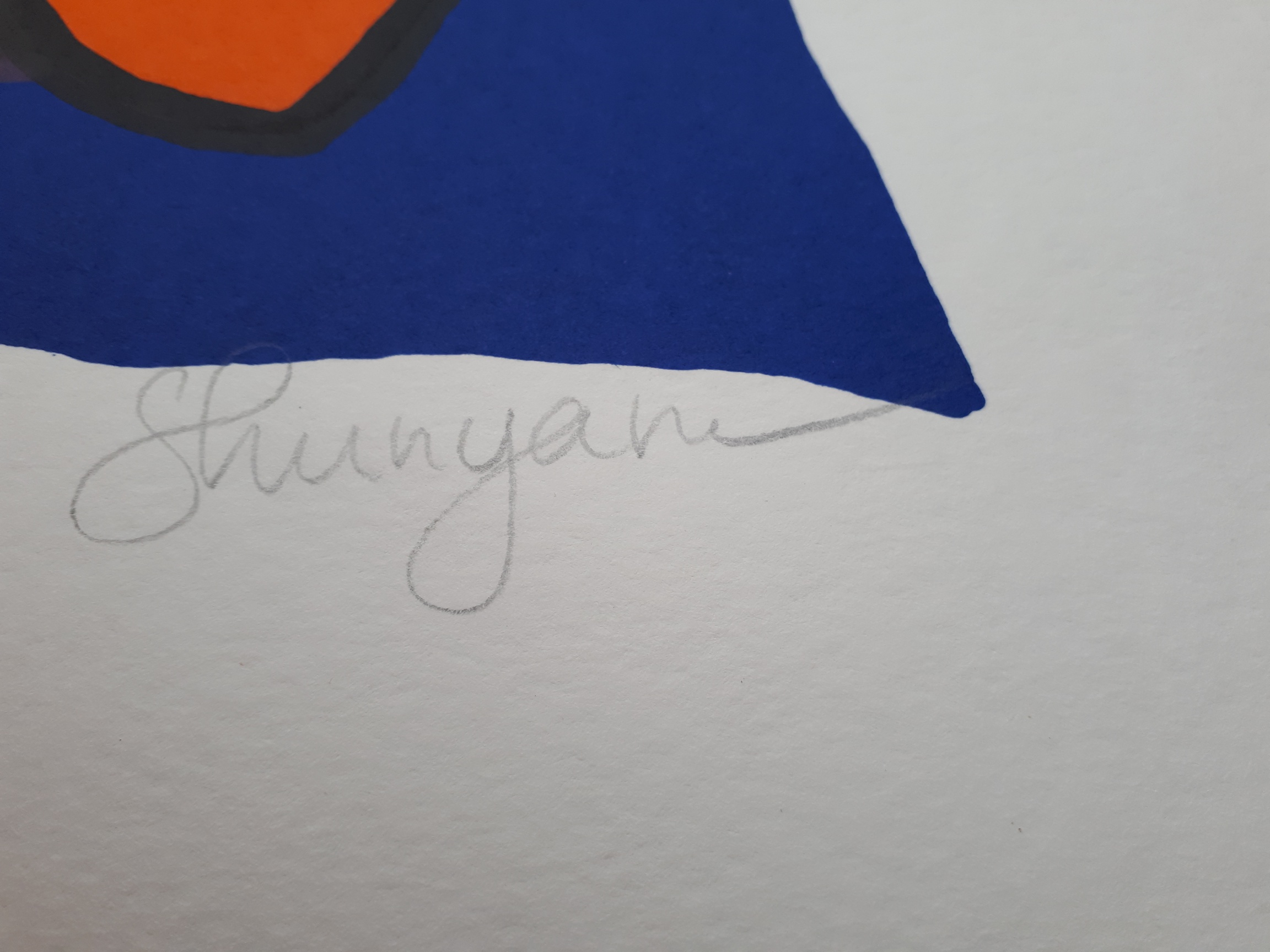 Shunyam - Zonder Titel ('happy pig") kopen? Bied vanaf 10!