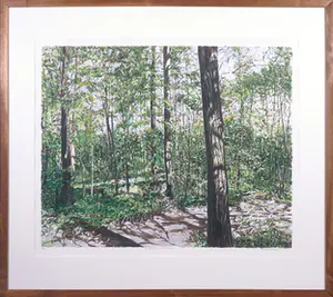 Karin Elfrink - Zeefdruk, Bomen Bos Koningsduin - Ingelijst kopen? Bied vanaf 50!