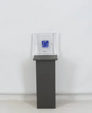 Bertil Vallien - Swimmers kopen? Bied vanaf 200!