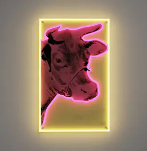 Andy Warhol - Neon LED COW - genummerde editie + CoA ©/®/™ The Andy Warhol Foundation kopen? Bied vanaf 449!