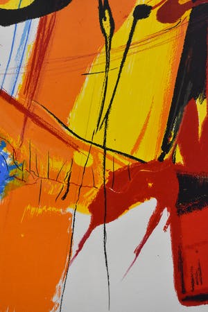 Frank Lejeune - colours of spring kopen? Bied vanaf 125!