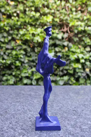 Ronald Tolman - Blauwe diender kopen? Bied vanaf 249!