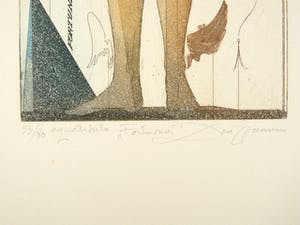 Dan Erceanu - Fortuna kopen? Bied vanaf 39!