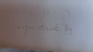 Jan Mensinga - De rat die zich van de wereld afzonderd kopen? Bied vanaf 35!