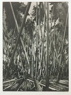 David Schnell - Aquatint, Abkürzung - Ingelijst kaufen? Bieten Sie von 650!
