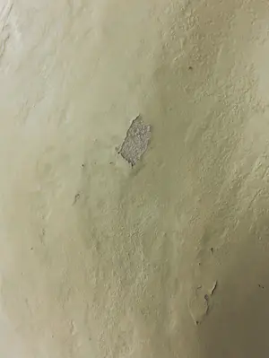 Jean-Philippe Richard - Terracotta Beeld, Irene (Groot en zwaar!) kopen? Bied vanaf 1!