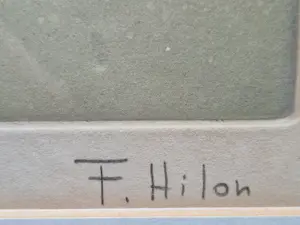 France Hilon - Duinenkust kopen? Bied vanaf 45!