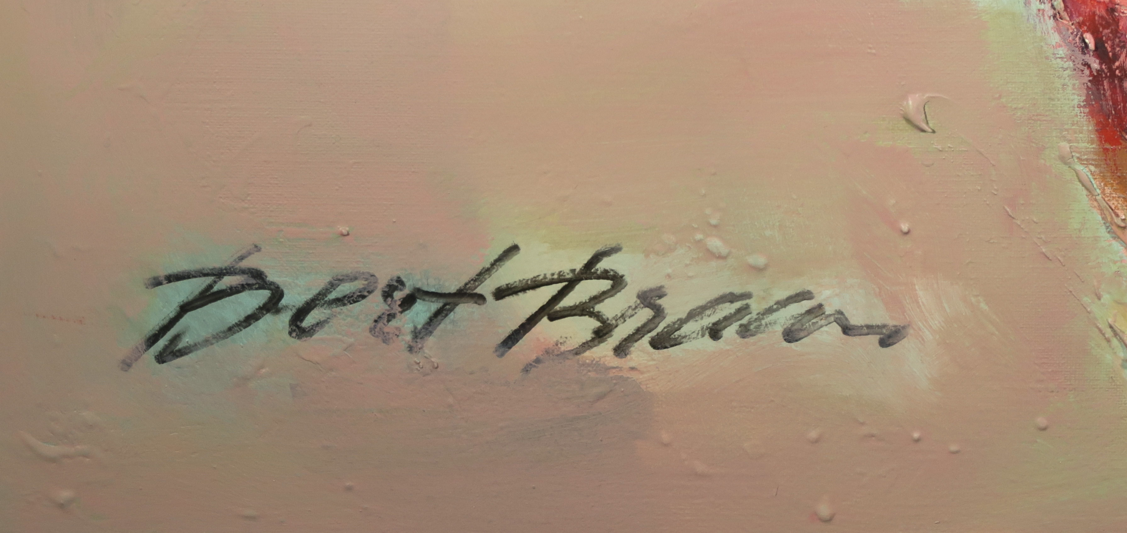 Bert Braam - Acryl op doek, Plantaardig kopen? Bied vanaf 150!