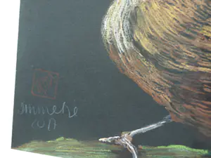 Niet of onleesbaar gesigneerd - Ingelijste pastel , Vogel op tak – gesigneerd – 2017 - Lijst, 41 x 41 cm. kopen? Bied vanaf 1!