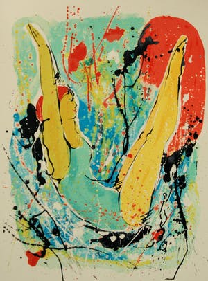 Nic Jonk - Salto kopen? Bied vanaf 120!