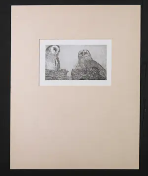 Reinder Homan - Ets, Twee uiltjes kopen? Bied vanaf 60!