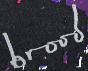 Herman Brood - Boek. Woedend licht, incl zeefdruk - 2000 kopen? Bied vanaf 100!