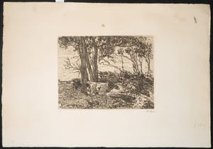 Willem de Zwart - Ets, Landschap met koeien kopen? Bied vanaf 20!