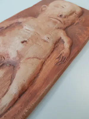 Peter Vanbekbergen - Antropomorfe hangplaat met reliëf kopen? Bied vanaf 100!