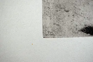 Jeanne Bieruma Oosting - Ets - De Vos en de Druiven kopen? Bied vanaf 50!