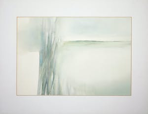 Wim de Bruin - Aquarel, de Biesbosch kopen? Bied vanaf 1!