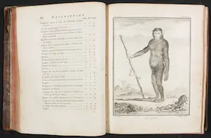 Georges-Louis Leclerc de Buffon - en Jacques de Seve - 14 delen van Histoire naturelle avec la description kopen? Bied vanaf 200!