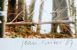 Jean Ruiter - Bamboe sculpture kopen? Bied vanaf 600!