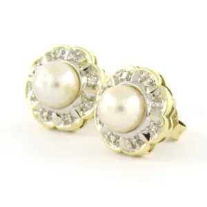 14k gouden oorknoppen bezet met parel en single cut geslepen diamant tot. 0.06ct kopen? Bied vanaf 310!