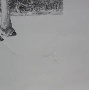 Peter Vos - Litho: gevoel kopen? Bied vanaf 150!