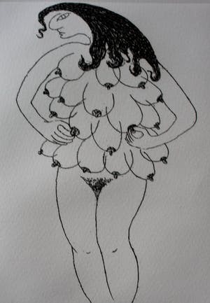 Frank Lodeizen - Ets: Vreugden en Verschikkingen... kopen? Bied vanaf 50!