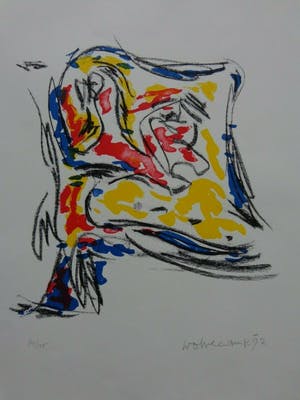 Theo Wolvecamp - THE FLAG / KLEURZEEFDRUK / 66x51cm / KADER / 1992 kopen? Bied vanaf 95!