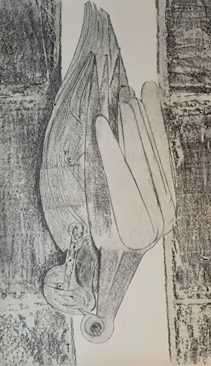 Max Ernst - Map met 34 werken: Histoire Naturelle - 1972 kaufen? Bieten Sie von 499!