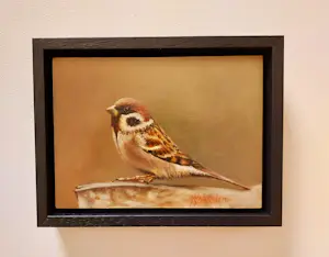 Hans Habraken - Het musje kopen? Bied vanaf 169!