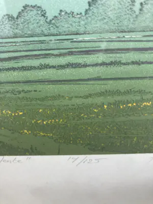 Hans Heijman - Kleurenets “ Een nieuwe lente “ kopen? Bied vanaf 50!