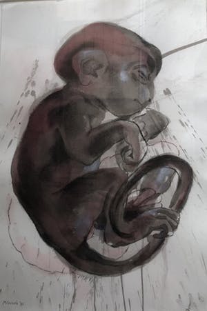 Marion Crezee - Prachtige gesigneerde aquarel van gallery Maria Chailloux kopen? Bied vanaf 50!