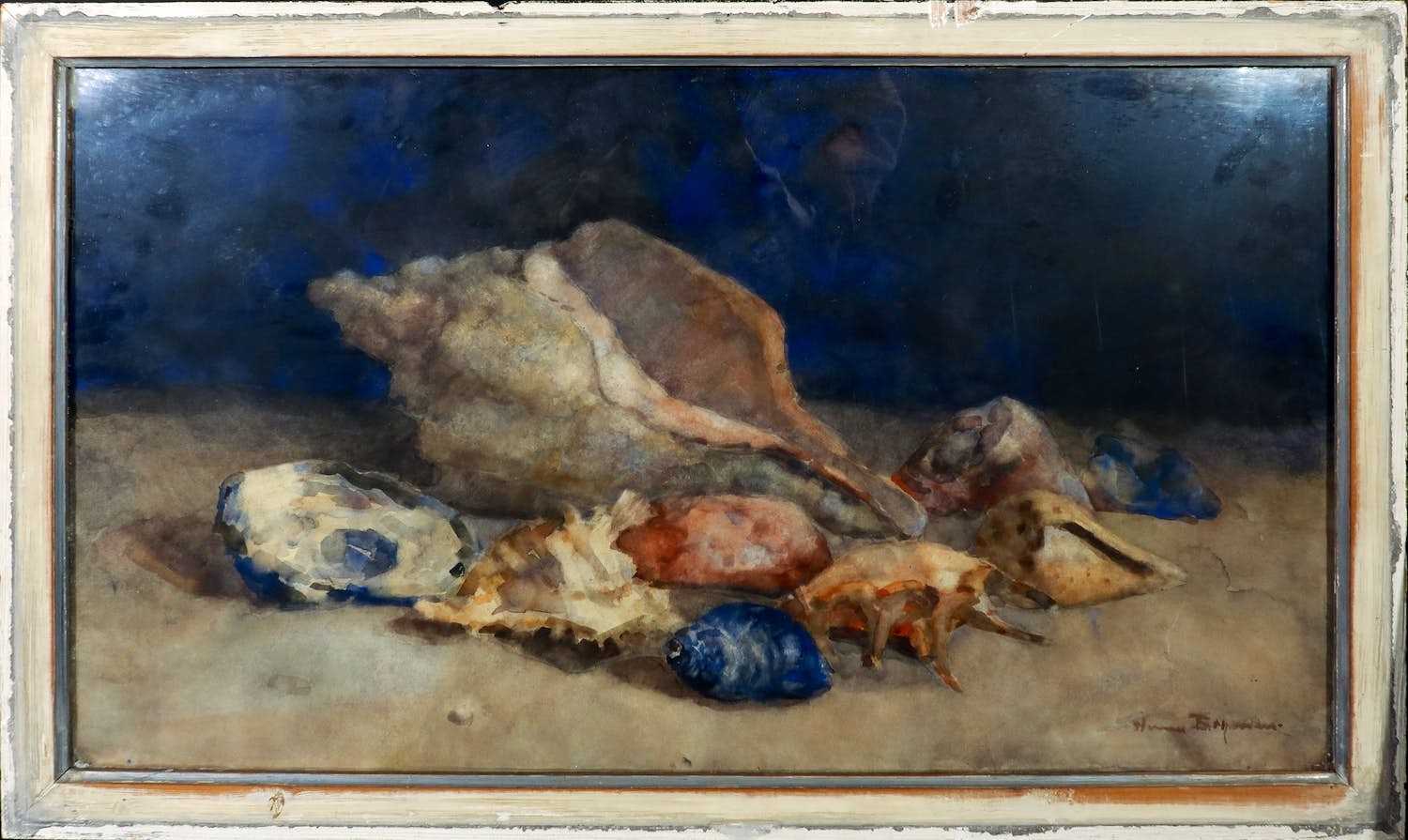 Herman Bogman (jr.) - Aquarel, Schelpen - Ingelijst verkocht voor € 200!