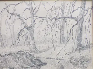 Arend Jan van Driesten - Bosgezicht met vijver - Tekening kopen? Bied vanaf 1!