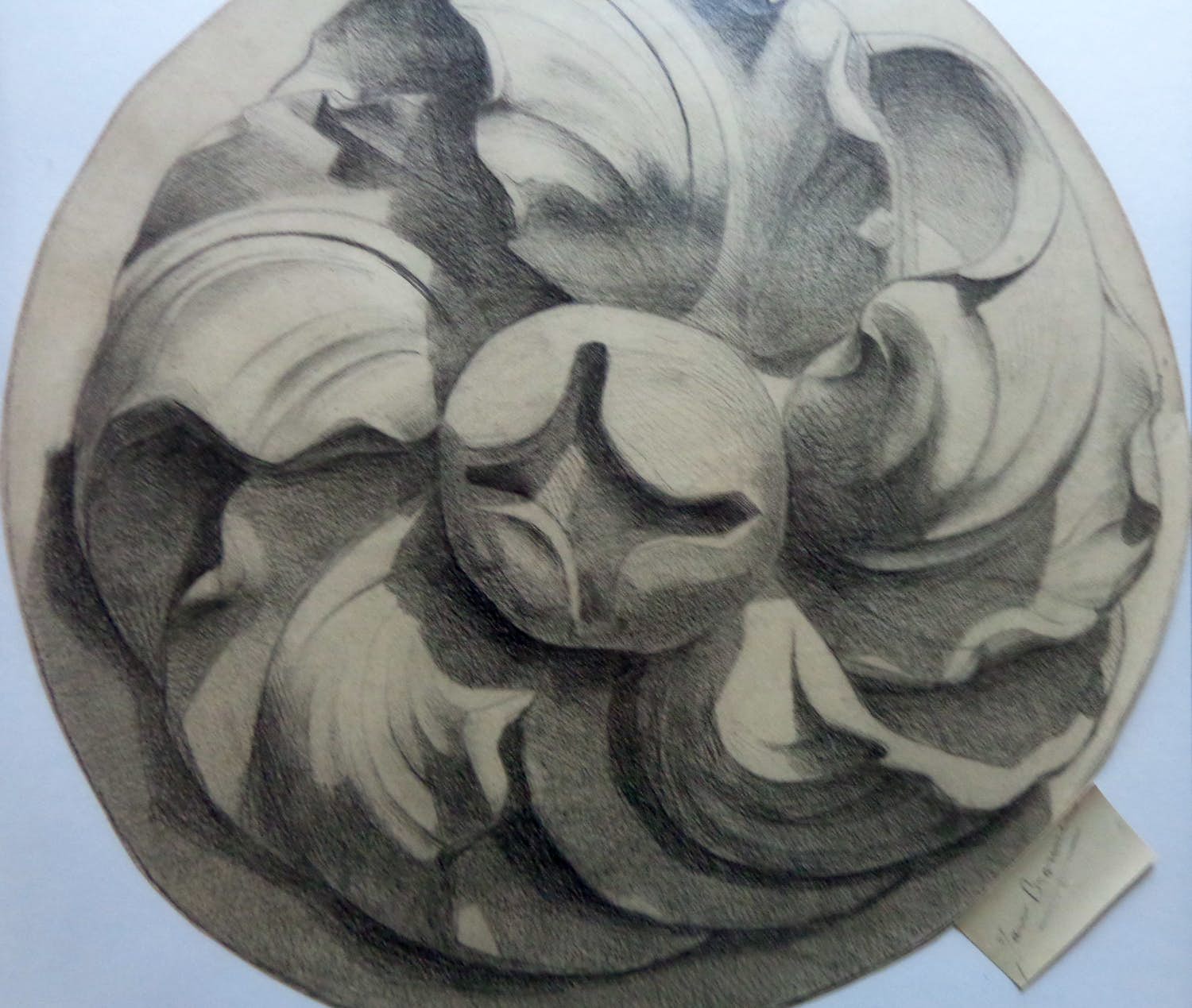 Jan Bronner - ONTWERPTEKENING ORNAMENT / ORIGINEEL WERK / 51x51cm / KADER / SIG / 1899 kopen? Bied vanaf 25!