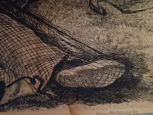 Cees Bolding - Nettenboetsters kopen? Bied vanaf 25!