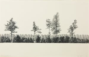 Joop Vegter - Pentekening, Houtwal bij Sandenburgerlaan, Doorn kopen? Bied vanaf 120!