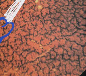 Marina Abramovic - handgesigneerde zeefdruk | 'Zonder titel' | 1991 kopen? Bied vanaf 250!