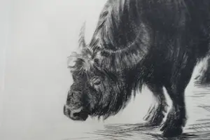 Dick Stolwijk - BUFFEL kopen? Bied vanaf 60!