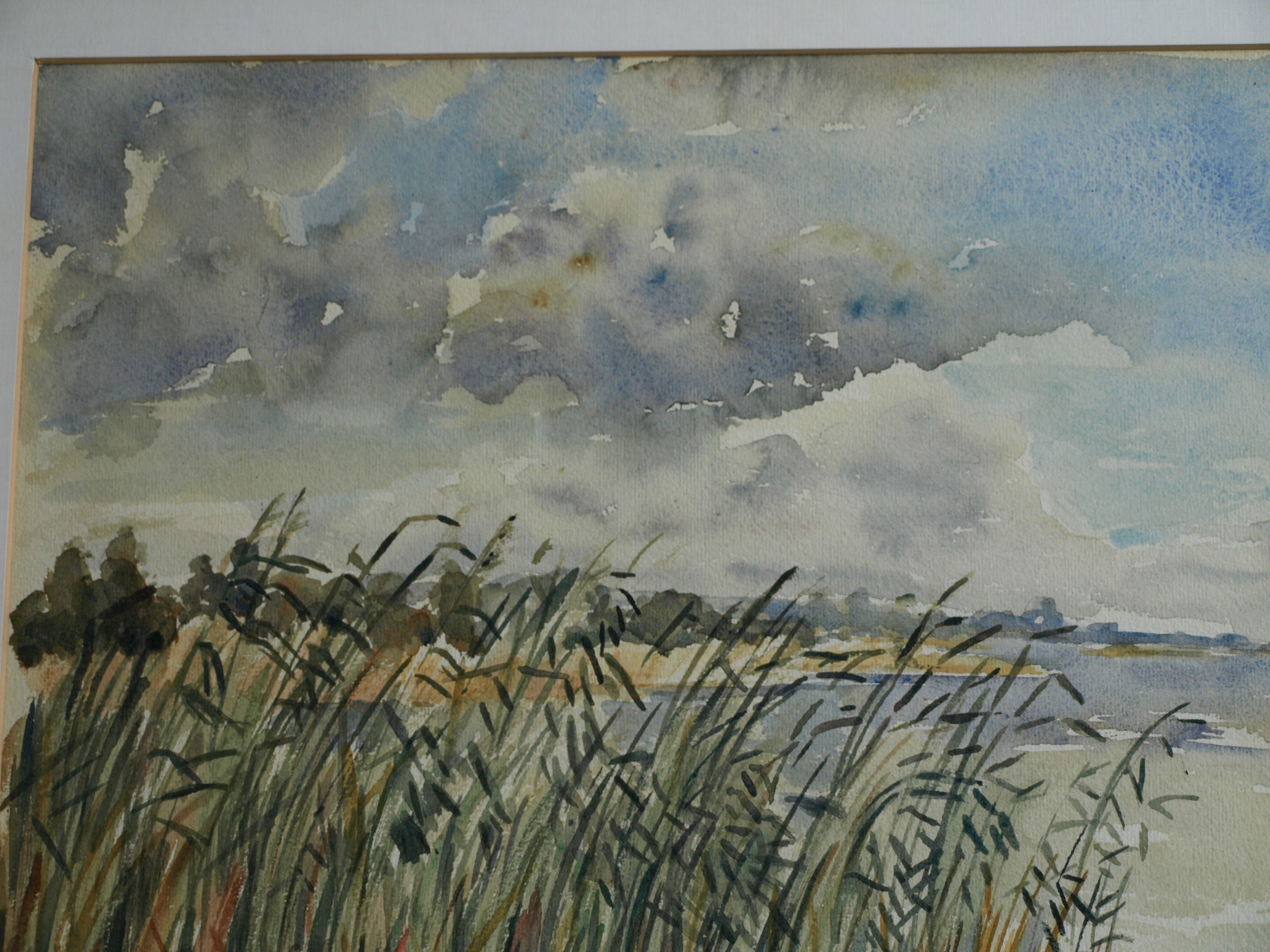 Niet of onleesbaar gesigneerd - Aquarel , Rietkraag – Watergezicht - gesigneerd & ingelijst – 1964  kopen? Bied vanaf 1!