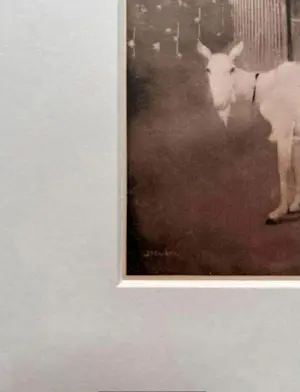 Jan Mankes - Originele Heliogravure Oude Geit 1923 kopen? Bied vanaf 165!