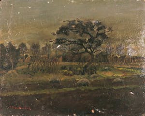 Pieter Haan - Olieverf op board, Lot van drie boslandschappen kopen? Bied vanaf 1!