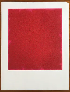 Bernd Berner - Gesigneerde kleurenlithografie - 1971 - 1/100 kopen? Bied vanaf 115!